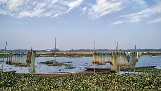 Fishing nets and boats on the Dora Beel in Kamrup district