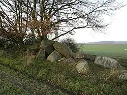 Megalithic chambered tomb "Driehauser Steine"