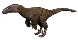 Feathered dinosaur with large head, claws and rudimentary wings