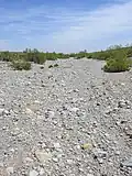Dry desert wash stream bed