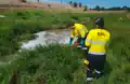 EPA staff cleaning Cherry Lake after the detergent spill in 2022