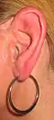 Left human auricle