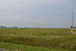 Fields east of Custar