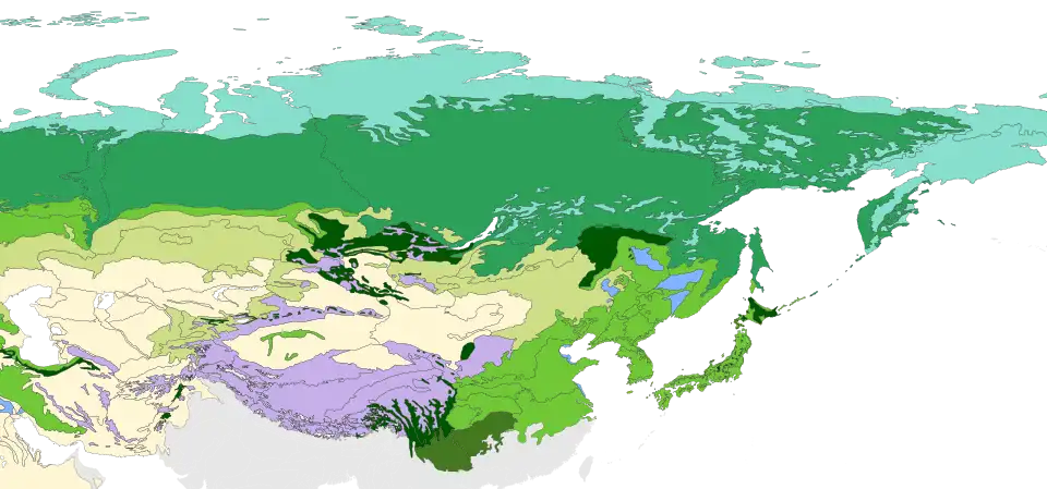 The eastern Palearctic biomes