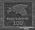 A microscopic engraving made in honor of the centenary by the Institute of Physics, University of Tartu
