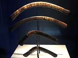 Hunting Boomerangs of Tutankhamun