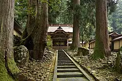 Building off in the distance in a forest