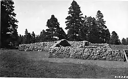Black and white stone structure in front of trees