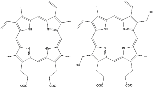 Left: protoporphyrin IX; Right: modification for ester linkage.