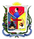 Official seal of Guatire