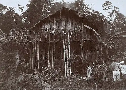 The Thousand Legs House of the Souk people, known as Manikion at the time by the Biak tribe, was photographed during the Wichmann Expedition in 1903.