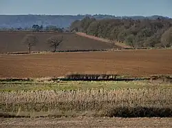 Farmland near Rogate