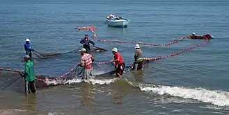 Fishermen on Lake Manzala