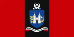 Flag of Drogheda