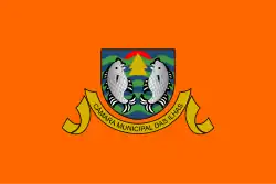 Flag of Municipality of Ilhas