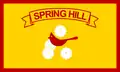 Flag of Spring Hill, Florida
