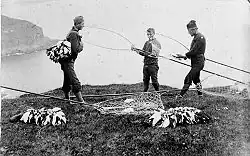 Bird hunters at the Faroe Islands.