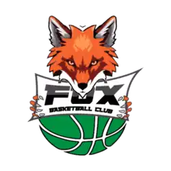 Fox logo