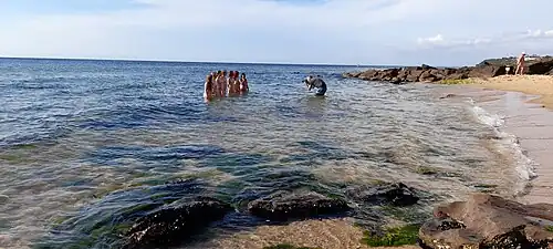Evening at the beach