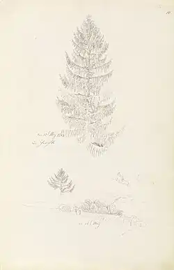 The painting uses this 1807 study of a tree[5]
