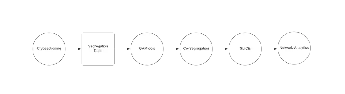 flowchart showing a general process of GAM data analysis. Circles represent a process and squares represent data.