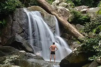 Gunung Gading waterfall