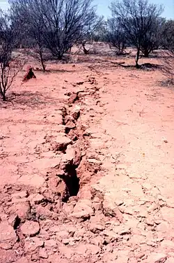 Some of the disturbance