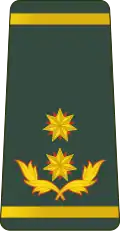 გენერალ-მაიორი General-maiori (Georgian Land Forces)[29]