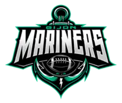 Team logo
