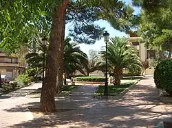 Glorieta Oliva Gasque.