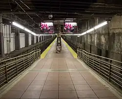 Train shed platform and tracks