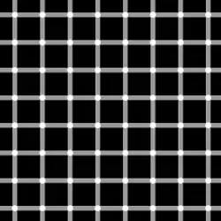 Scintillating grid illusion: Dark dots seem to appear and disappear rapidly at random intersections, hence the label "scintillating".