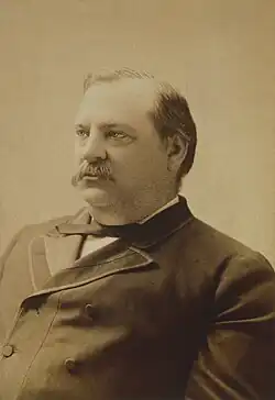 Grover Cleveland by Charles Milton Bell color change