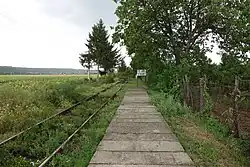 Gura Vitioarei train station