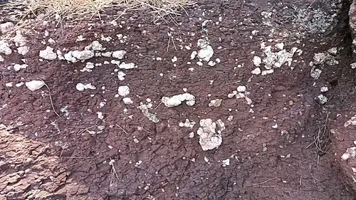 34°57′34.1″N 127°53′53.8″E﻿ / ﻿34.959472; 127.898278