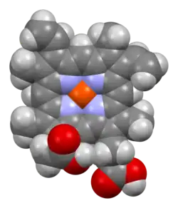 Space-filling model of the heme B complex