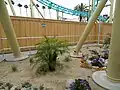 Hangtime's ride queue features a beach type setting