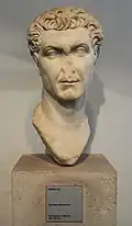 Bust of Nerva (?) from Tivoli