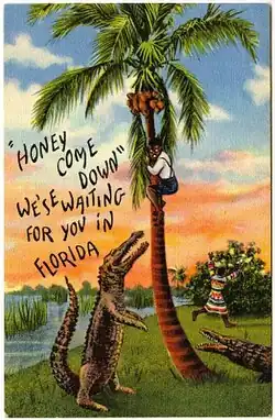 Two alligators menace a stereotyped black man clambering into a stereotyped palm tree, a woman in colorful dress runs away comically screaming; original caption: "Honey come down we are waiting for you in Florida"
