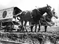 Horses and delivery wagon stuck in the mud