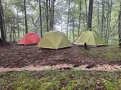 A group's tents set up on a campsite near Hot Springs, North Carolina, alongside the Appalachian Trail