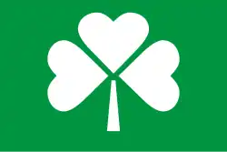 House flag of Irish Continental Line (1978–1988)