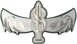 Soldier pin in the Multidimensional Unit