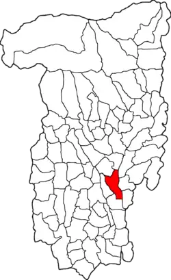 Location in Vâlcea County