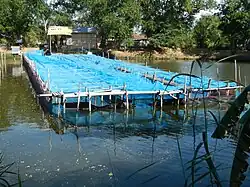 A large rectangular bamboo structure covered with blue nets