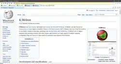 Screenshot of the browser displaying this page