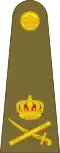 Lieutenant-General