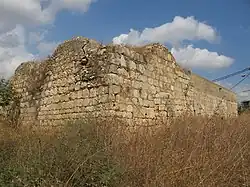 Ruins of the mosque of Kafr 'Ana