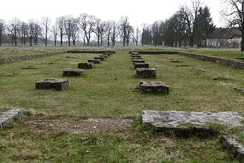 The basement of the Horreum