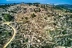 Mount Eitan and its slope with the remains of the village